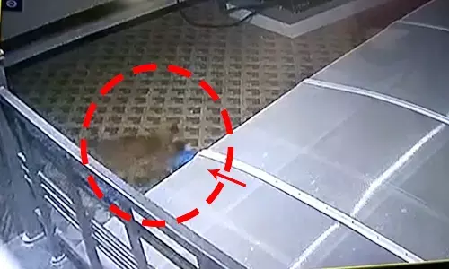 3 రోజుల చిన్నారిని ఎత్తుకెళ్లిన కుక్క.. ఏమి చేసిందంటే