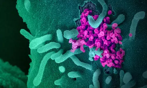 corona virus, positive cases, deaths, recovery, india