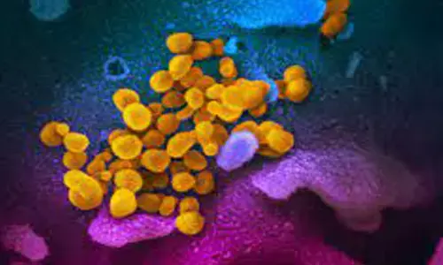 స్థిరంగా కరోనా కేసులు