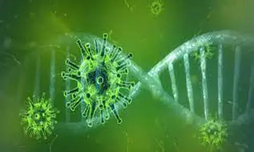 కేసులు భారీగా.. లైట్ తీసుకుంటున్న జనం