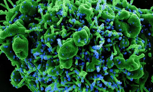 corona virus, positive cases, deaths, recovery, telangana