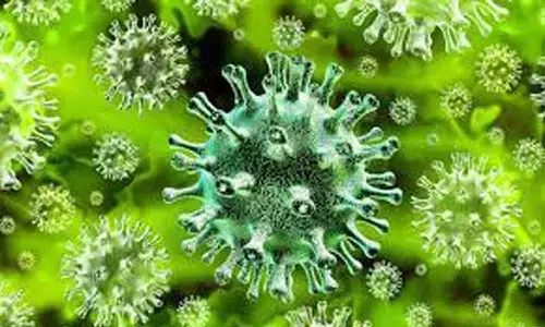 గుడ్ న్యూస్.. కేసులు తగ్గుతున్నాయ్