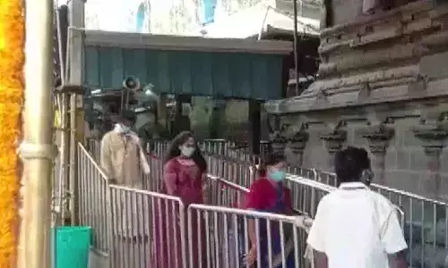 rush, devotees, tirumala