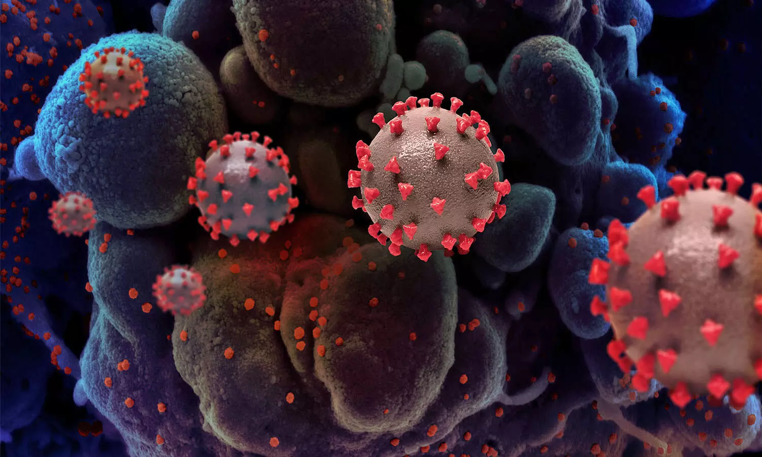 ఆగని కరోనా...ఒక్కరోజులోనే? ఆగని కరోనా...ఒక్కరోజులోనే?