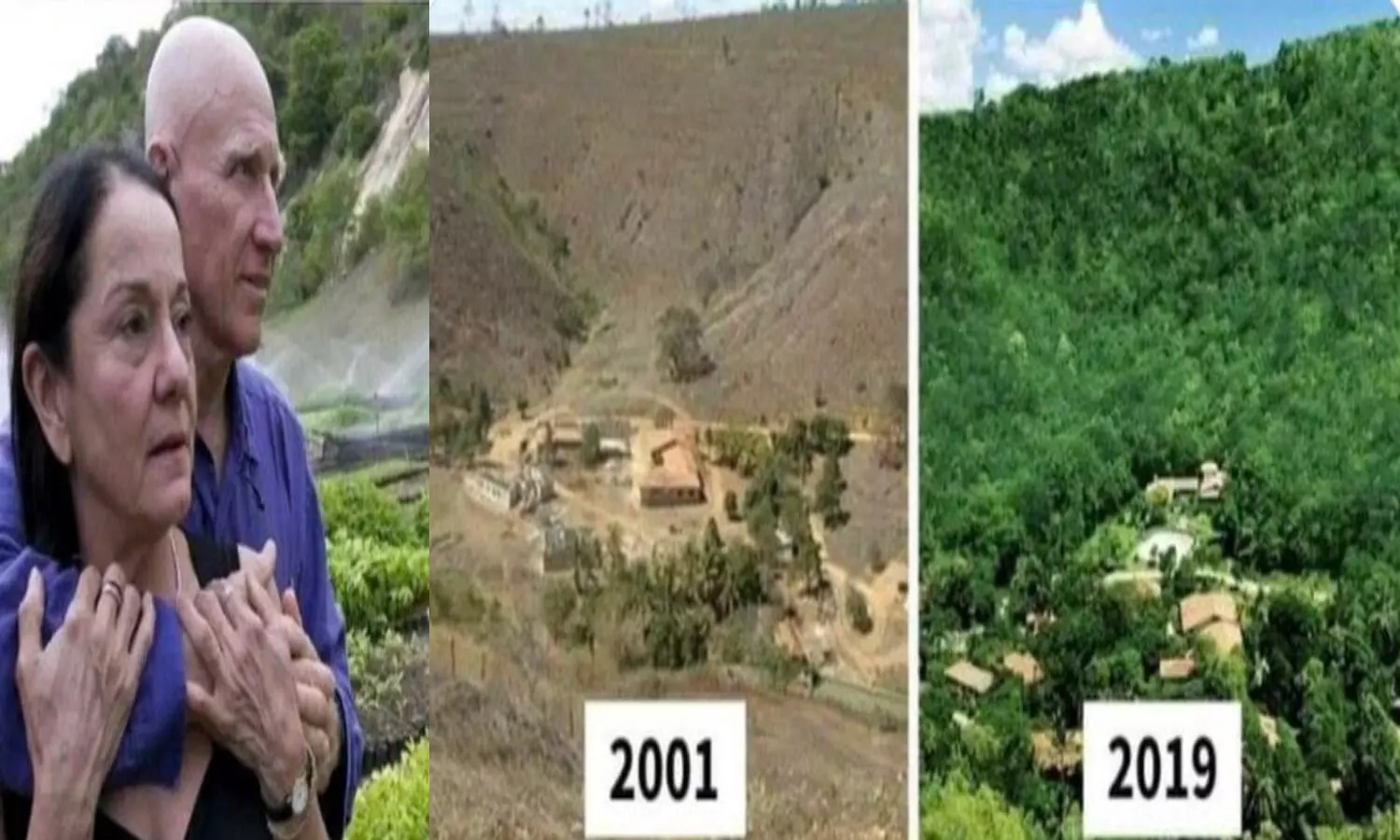 మైదానాన్ని అడవిగా మార్చి...?