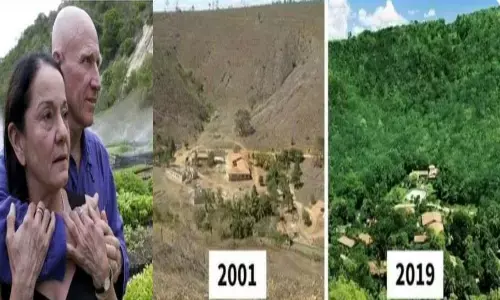 మైదానాన్ని అడవిగా మార్చి...?