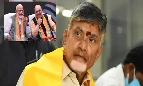 ఢిల్లీకి చంద్రబాబు.. ఎందుకో తెలిస్తే?