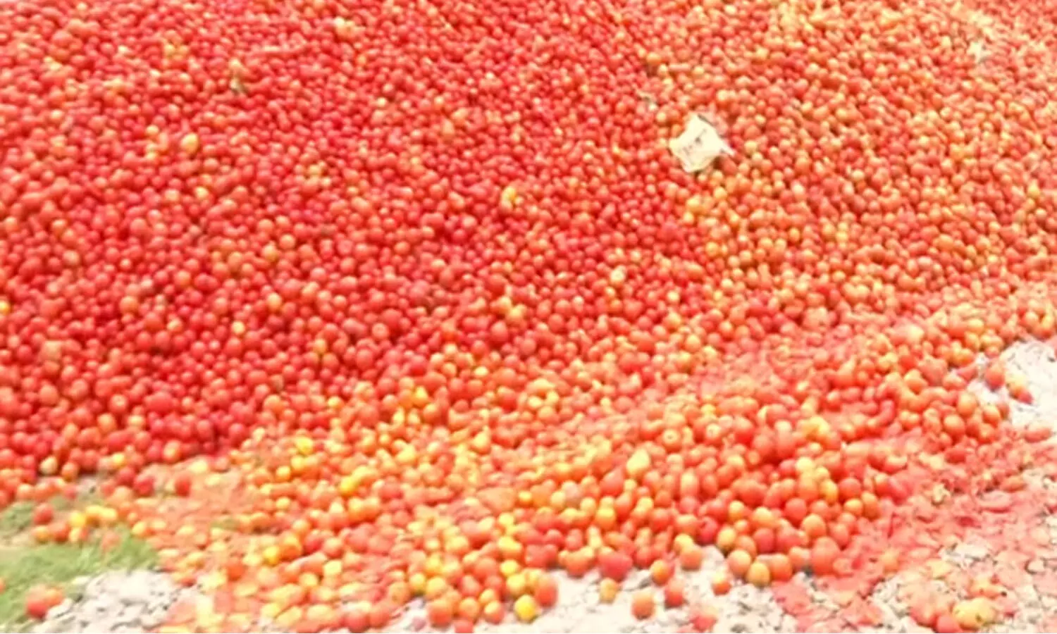 టమాటా... కిలో రూపాయి