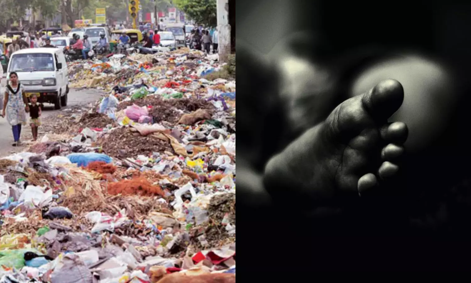 దారుణం.. చెత్తకుప్పలో 17 పిండాలు.. బ్రూణ హత్యలా ?