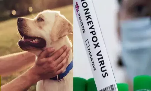 తొలిసారి మనిషి నుంచి కుక్కకు సోకిన మంకీపాక్స్