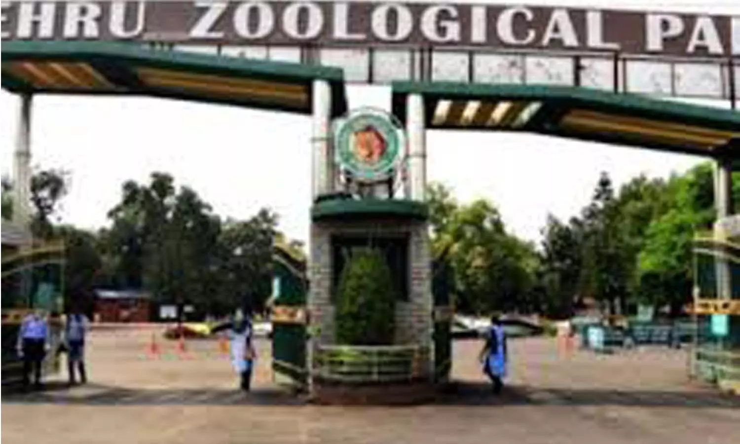 జూ పార్కులో సింహం పిల్ల మృతి