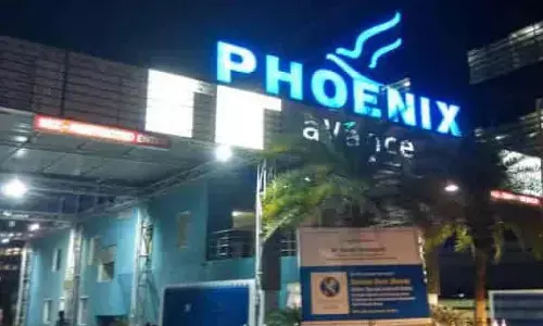 ఫీనిక్స్ కంపెనీపై  ఐటీ దాడులు.. రాజకీయ నేతల పెట్టుబడులు