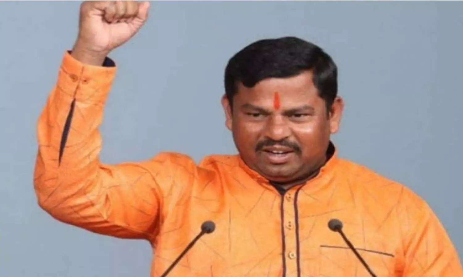 rajasingh, mla, bjp, police case