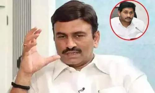 టీడీపీకి బూస్ట్ ఇచ్చిన రఘురామ