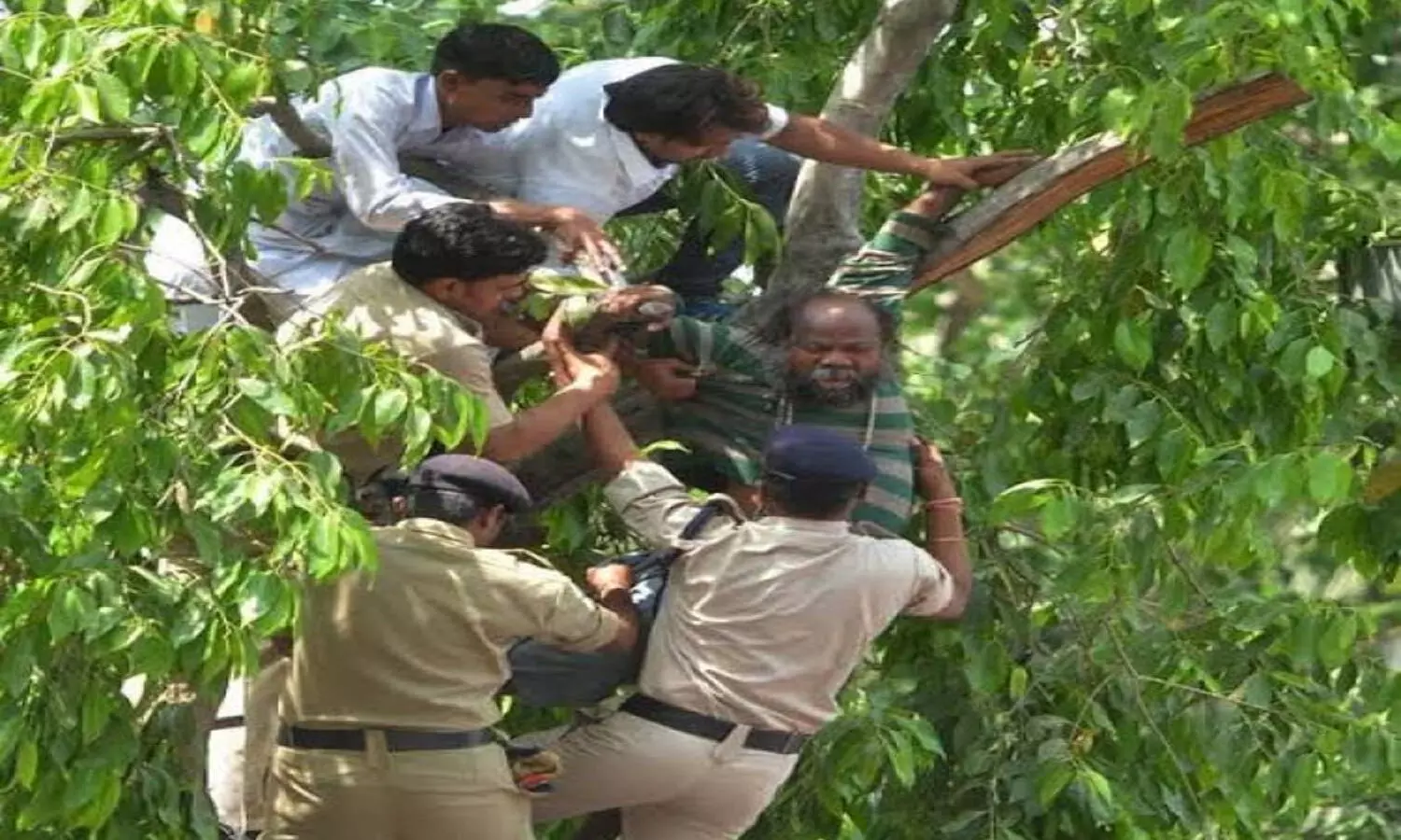 భార్య కొడుతోందని చెట్టెక్కిన భర్త.. నెలరోజులుగా అక్కడే.. ఆఖరికి.. భార్య కొడుతోందని చెట్టెక్కిన భర్త.. నెలరోజులుగా అక్కడే.. ఆఖరికి..