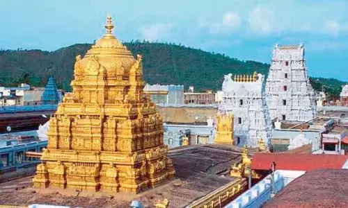 rush,  devotees, tiirumala