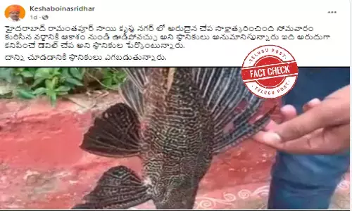 నిజ నిర్ధారణ - హైదరాబాద్ లో లభించిన డెవిల్ ఫిష్.. ఆకాశం నుండి ఊడి పడలేదు