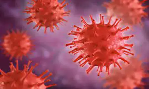 పదివేలకు పైగా కేసులు నమోదు