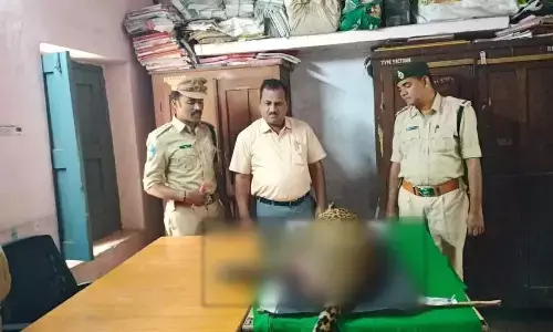 గుర్తు తెలియని వాహనం ఢీకొనడంతో చిరుతపులి మృతి