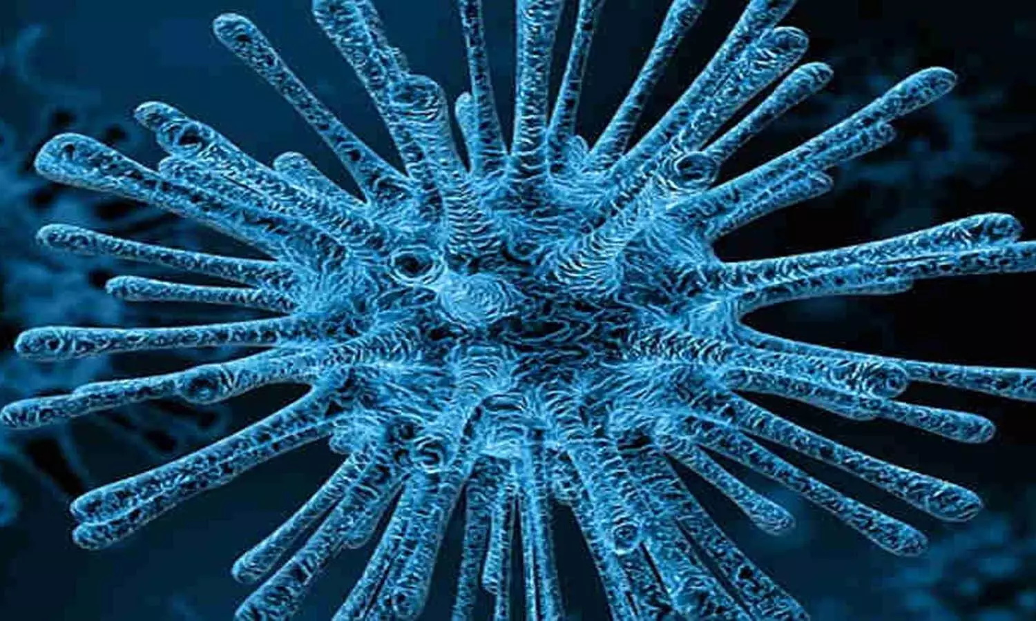 అలర్ట్ : కేసులు పెరుగుతున్నాయ్