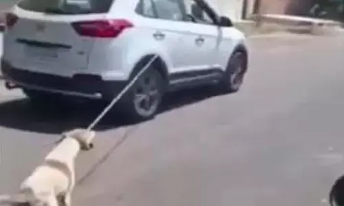 మూగజీవికి చిత్రహింస.. కారుకు కుక్కను కట్టేసి 5.కిమీలు