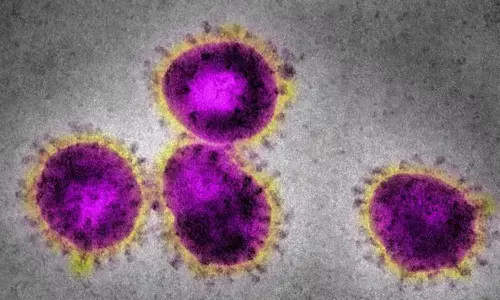 గుజరాత్ లో బీఎఫ్ 7 వేరియంట్