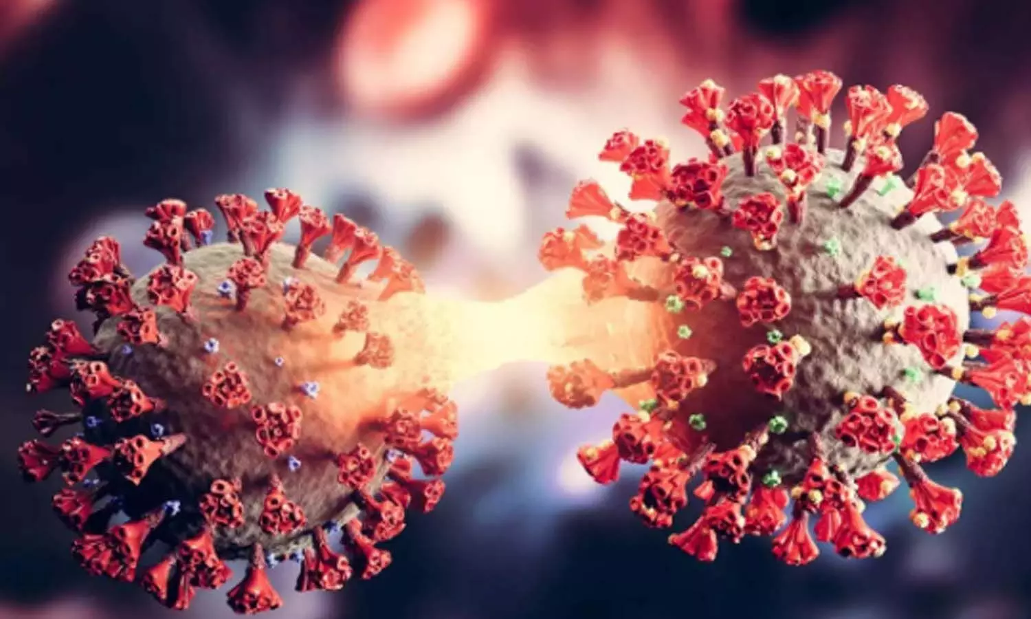 corona virus, zero, telangana