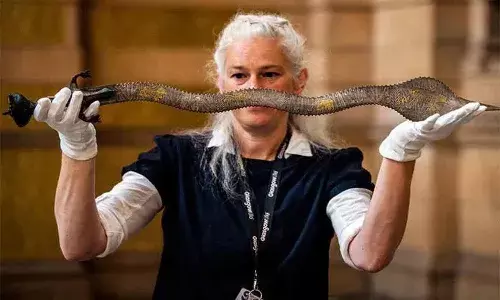 నిజాం ఖడ్గాన్ని తిరిగి ఇచ్చేసిన యూకే.. త్వరలో హైదరాబాద్ కు..!