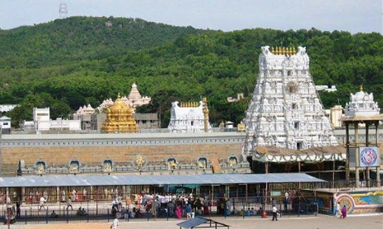 rush, devotees, tirumala, Tirumala, Darshan, TirumalaTirupati, TTD, Tirumala Update