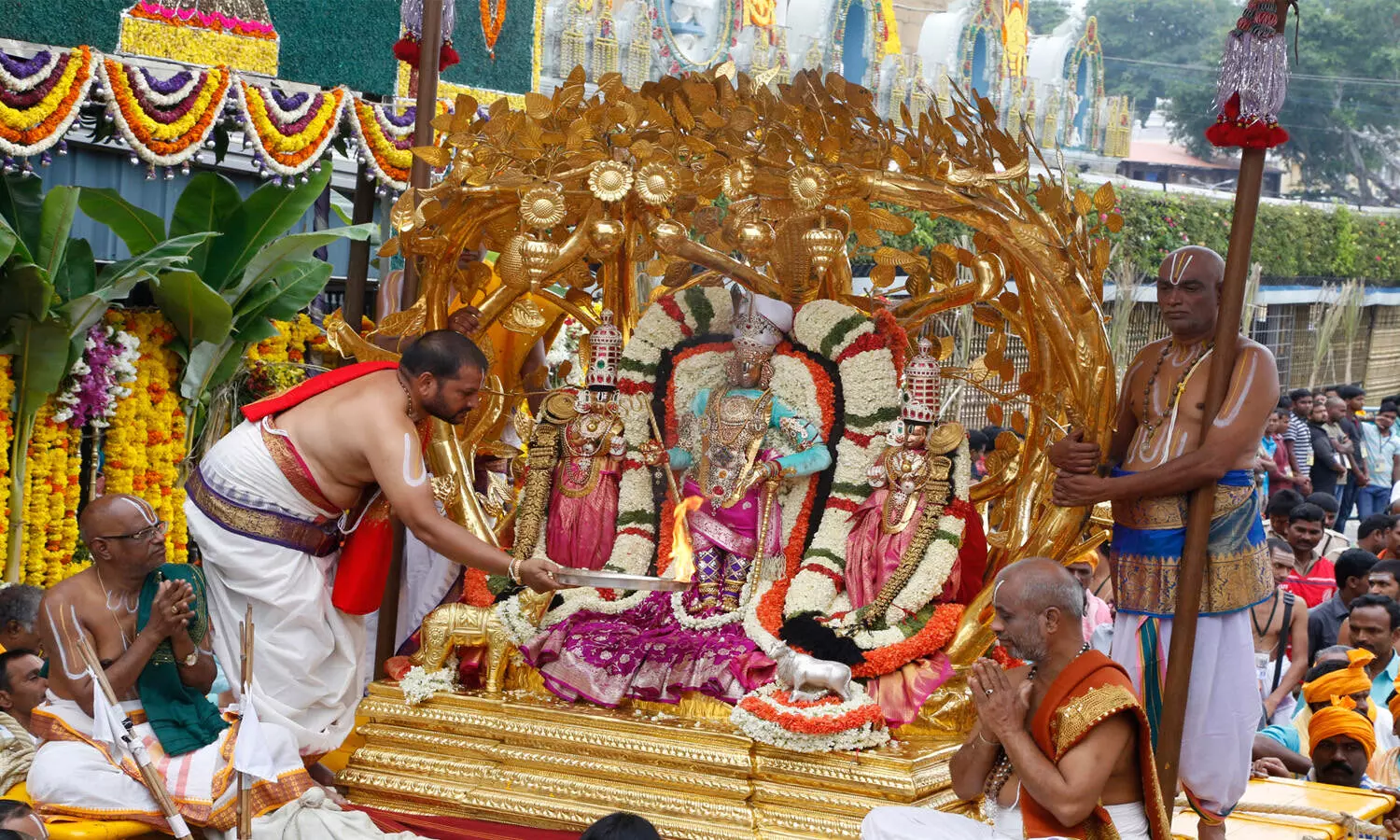 కల్పవృక్ష వాహనంపై బ్రహ్మాండ నాయకుడు