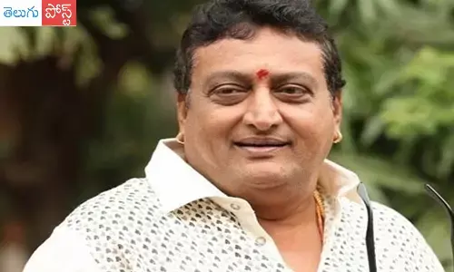 actor prudhvi raj, vijayawada family court