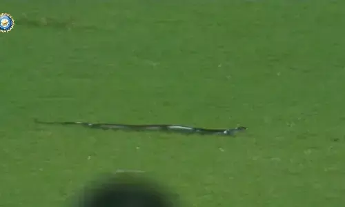 రోహిత్ శర్మ-రాహుల్ బ్యాటింగ్ చేస్తుండగా గ్రౌండ్ లోకి వచ్చిన పాము