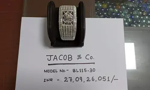 వజ్రాలు పొదిగిన 27 కోట్ల విలువైన వాచ్ దొరికింది