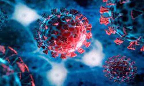 corona virus, women, died, visakha, corona cases are increasing in andhra pradesh, corona in visakha, andhra news