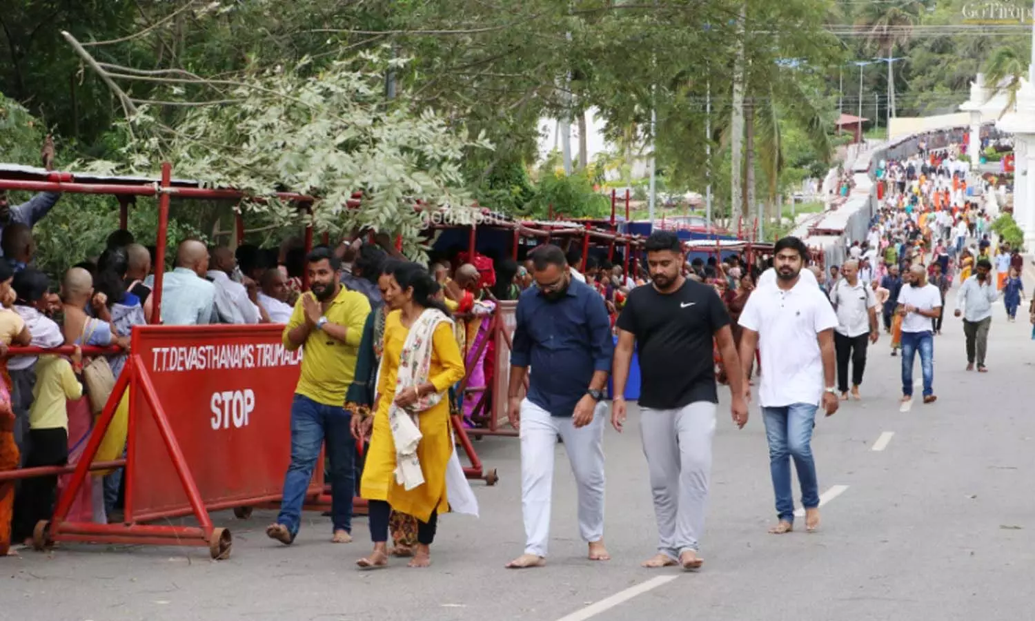 rush, divotees, tirumala rush, divotees, tirumala