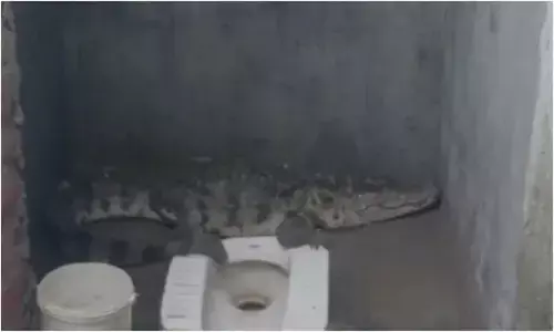 ఉదయం 5 గంటలకు టాయ్ లెట్ కు వెళ్లి చూడగా..!