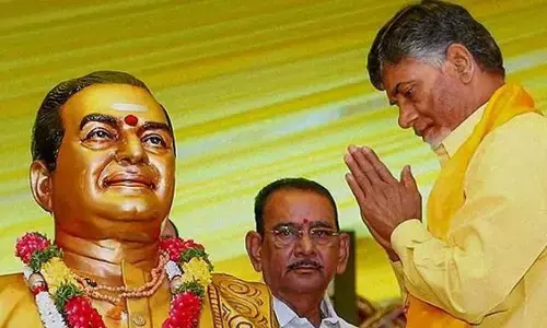 ట్రాప్ లో టీడీపీ అలా పడిపోతుందేంటి?