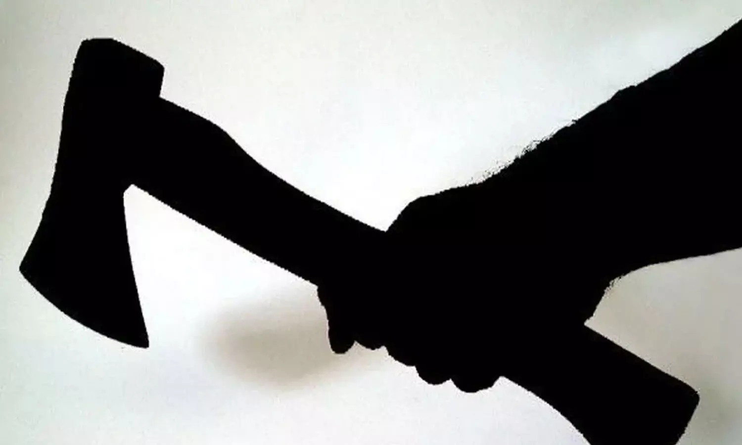 son attack on mother with axe