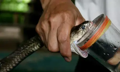 snake poison smuggling, west bengal