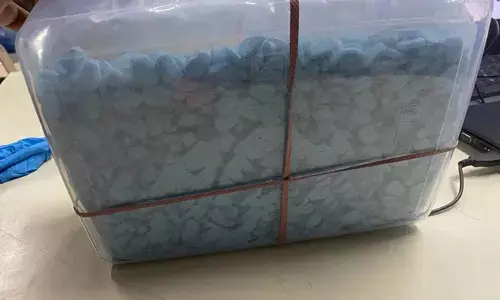 పారిస్ నుండి వచ్చింది.. ఆ బాక్స్ లో ఉన్నవేమిటో తెలుసా..?