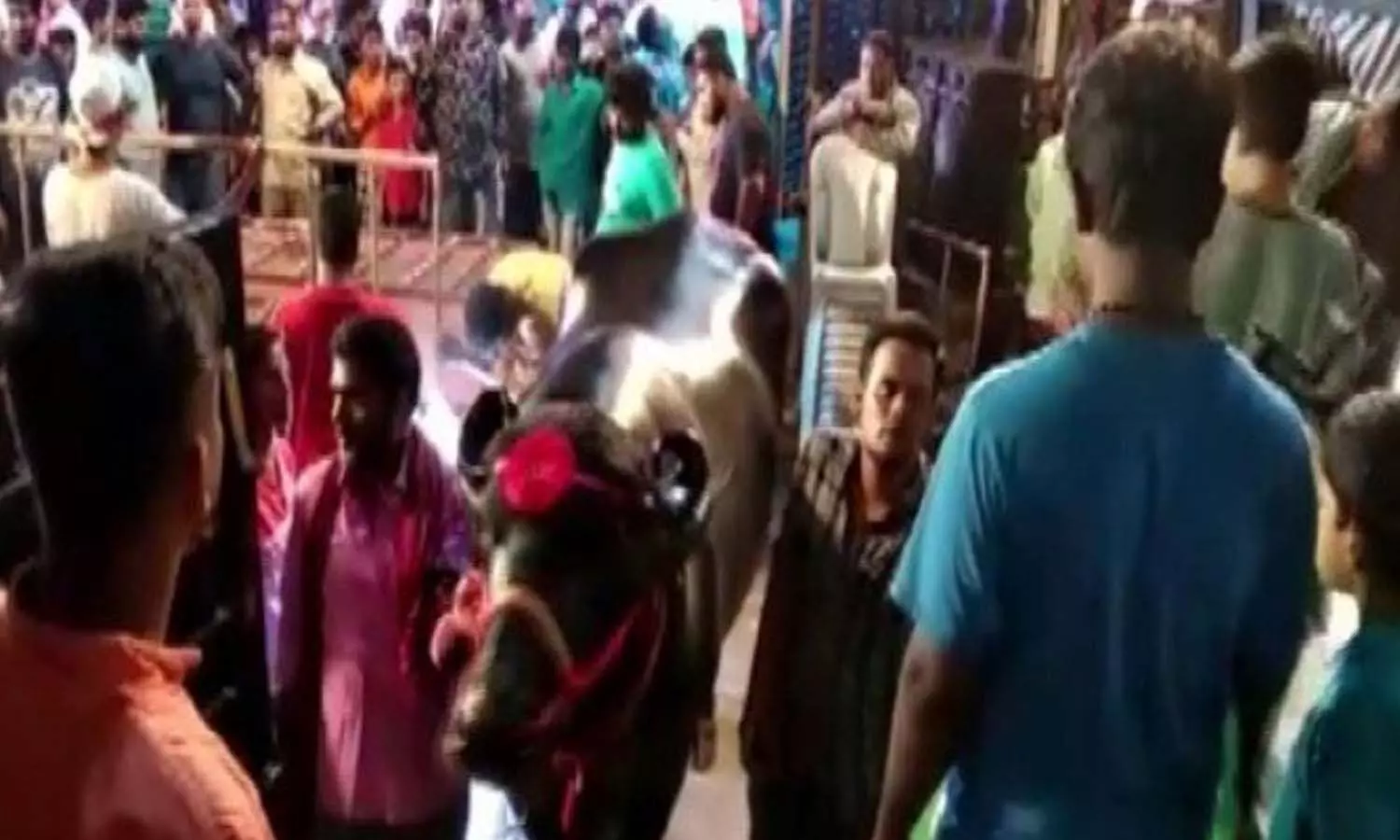 హైదరాబాద్ లో సదర్ ఉత్సవ్