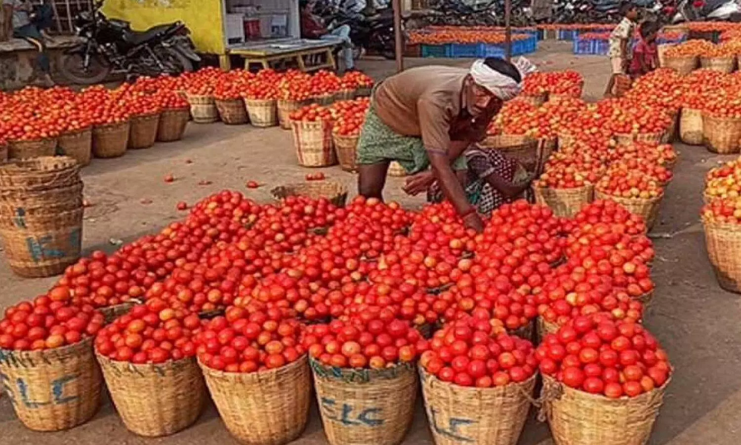 tomato, price, two rupees per kg