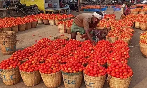 tomato, price, two rupees per kg