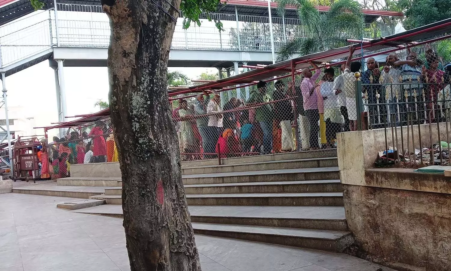 rush, divotees, tirumala rush, divotees, tirumala