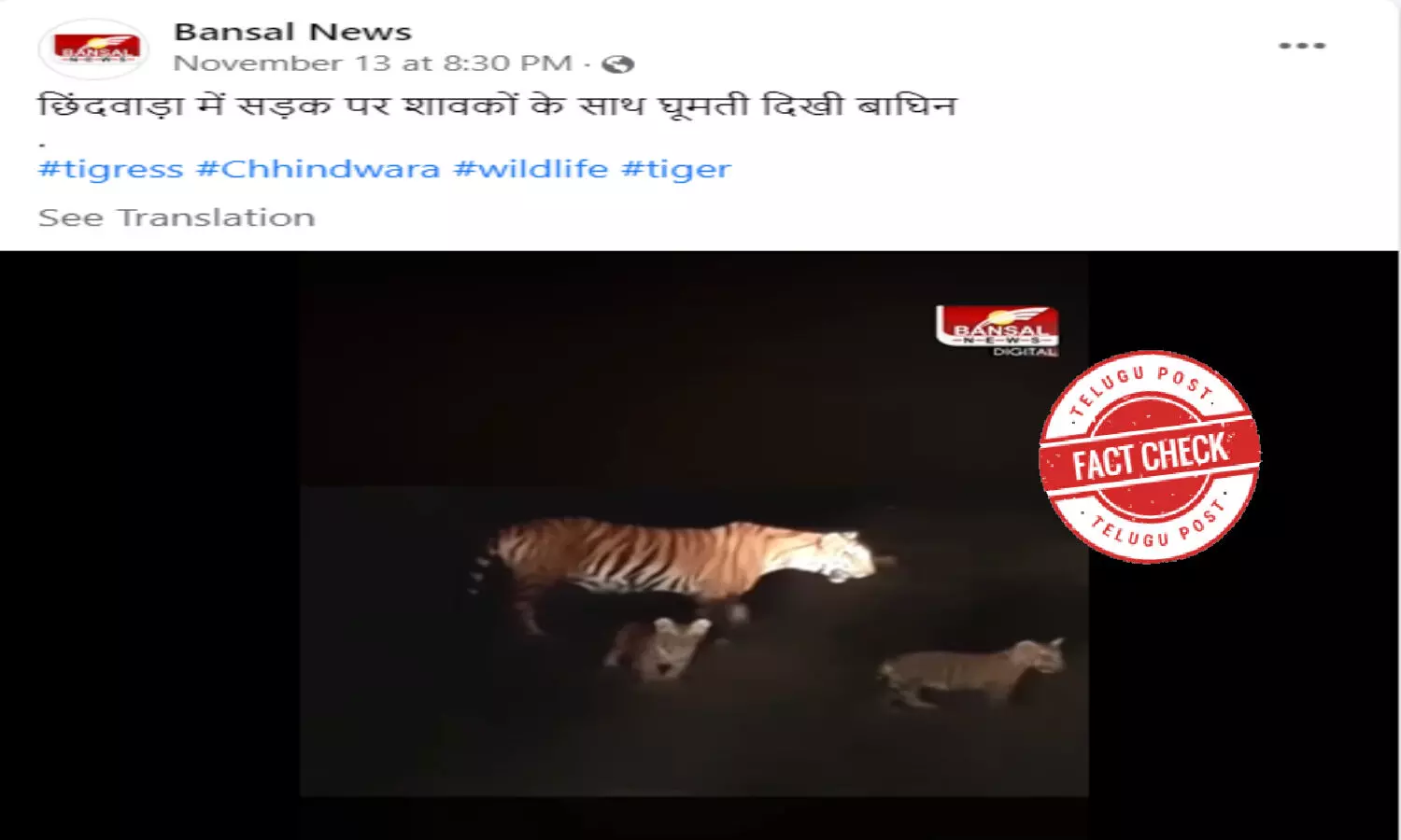 Fact Check: Viral video of a tigress and its cubs is from Dudhwa Tiger Reserve in UP, not MP as being claimed