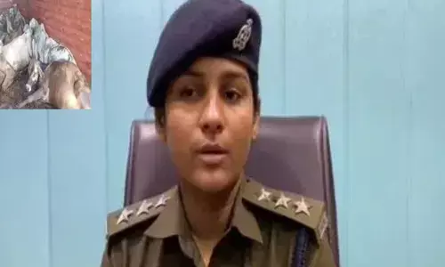 29 cows dead , uttar pradesh