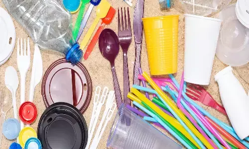 single use plastic, ap government penalties