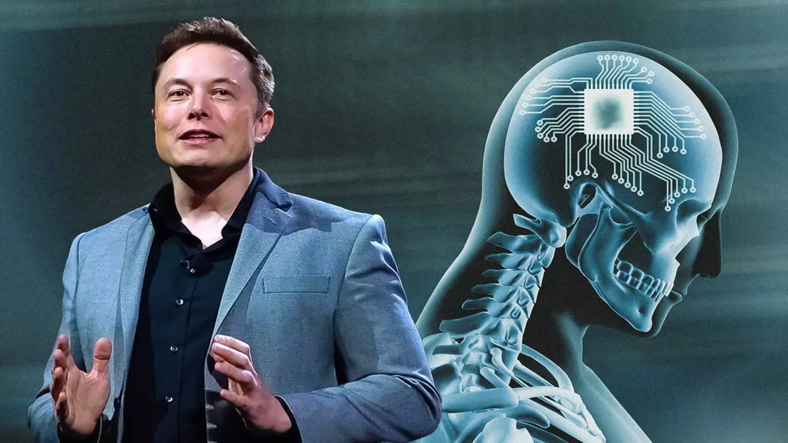 neura link, chip in human brain, what is neura link neura link, chip in human brain, what is neura link