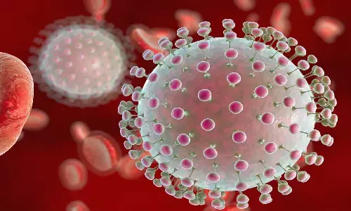 మహారాష్ట్రలో జికా వైరస్