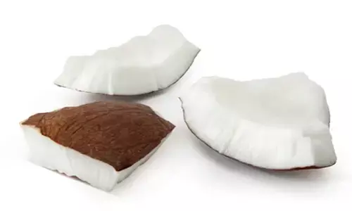 coconut piece, 10 years old boy died